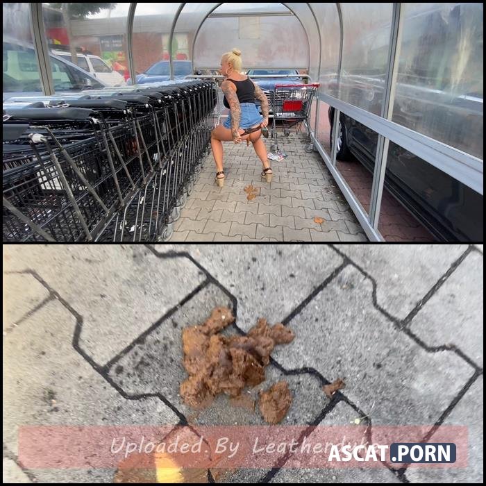 Mega Public in the shopping carts shit and filthy horny with Devil Sophie